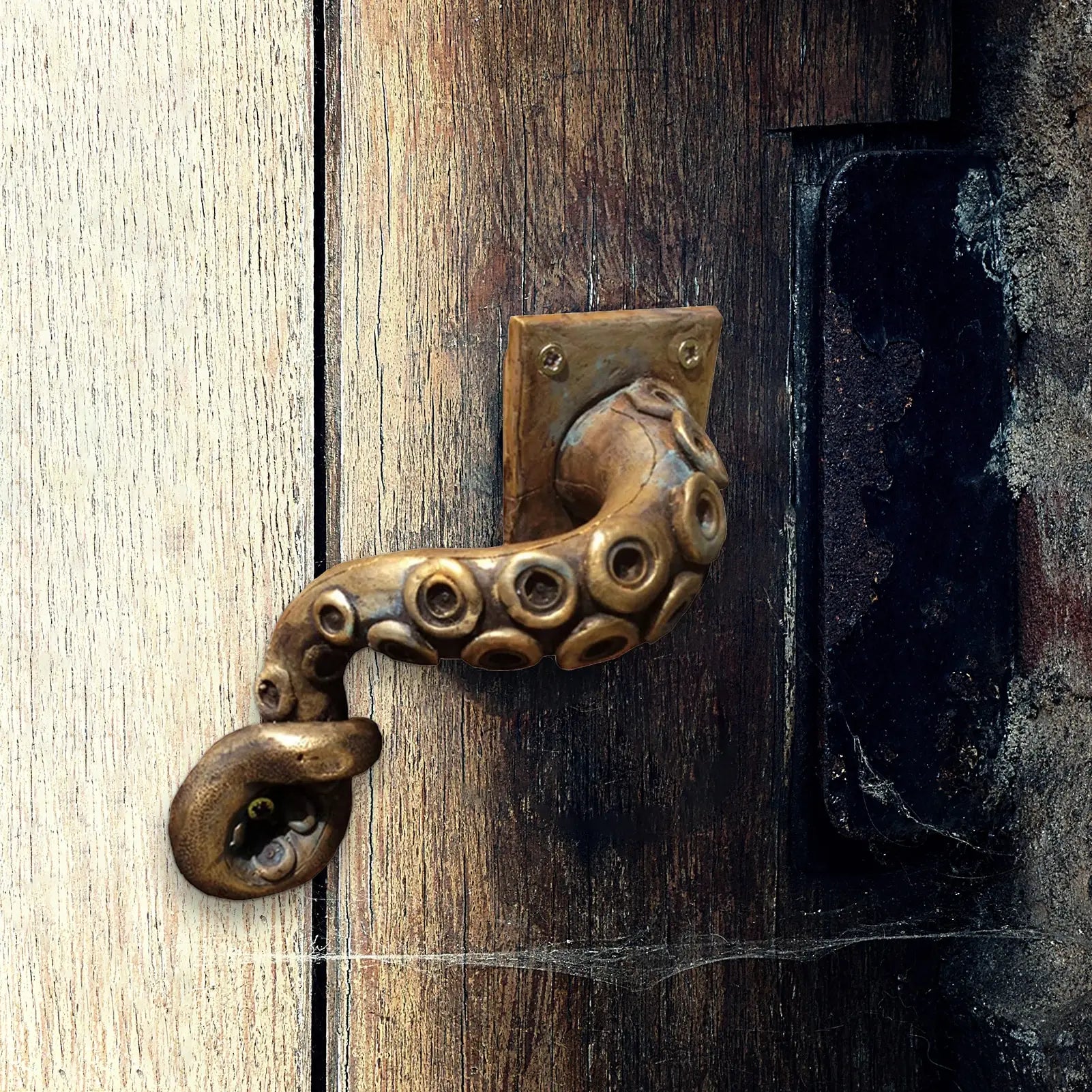 Octopus tentacle handle placed on a door, showing its vivid detail and unique punk-inspired look.